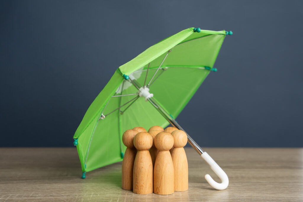fully insured cleaning services